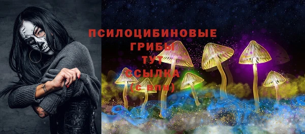 марки nbome Белокуриха