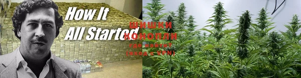 марки nbome Белокуриха