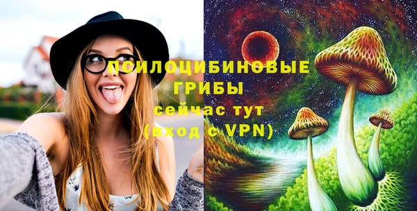 марки nbome Белокуриха